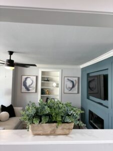 DJI_20251108_113000_167